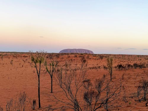 Free stock photo of aboriginal, australia, australian