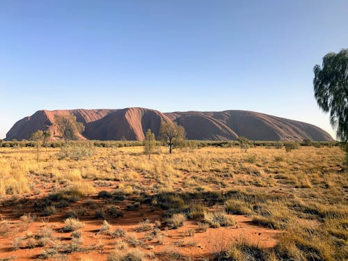 Free stock photo of aboriginal, australia, australian