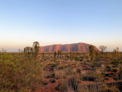 Free stock photo of aboriginal, australia, australian