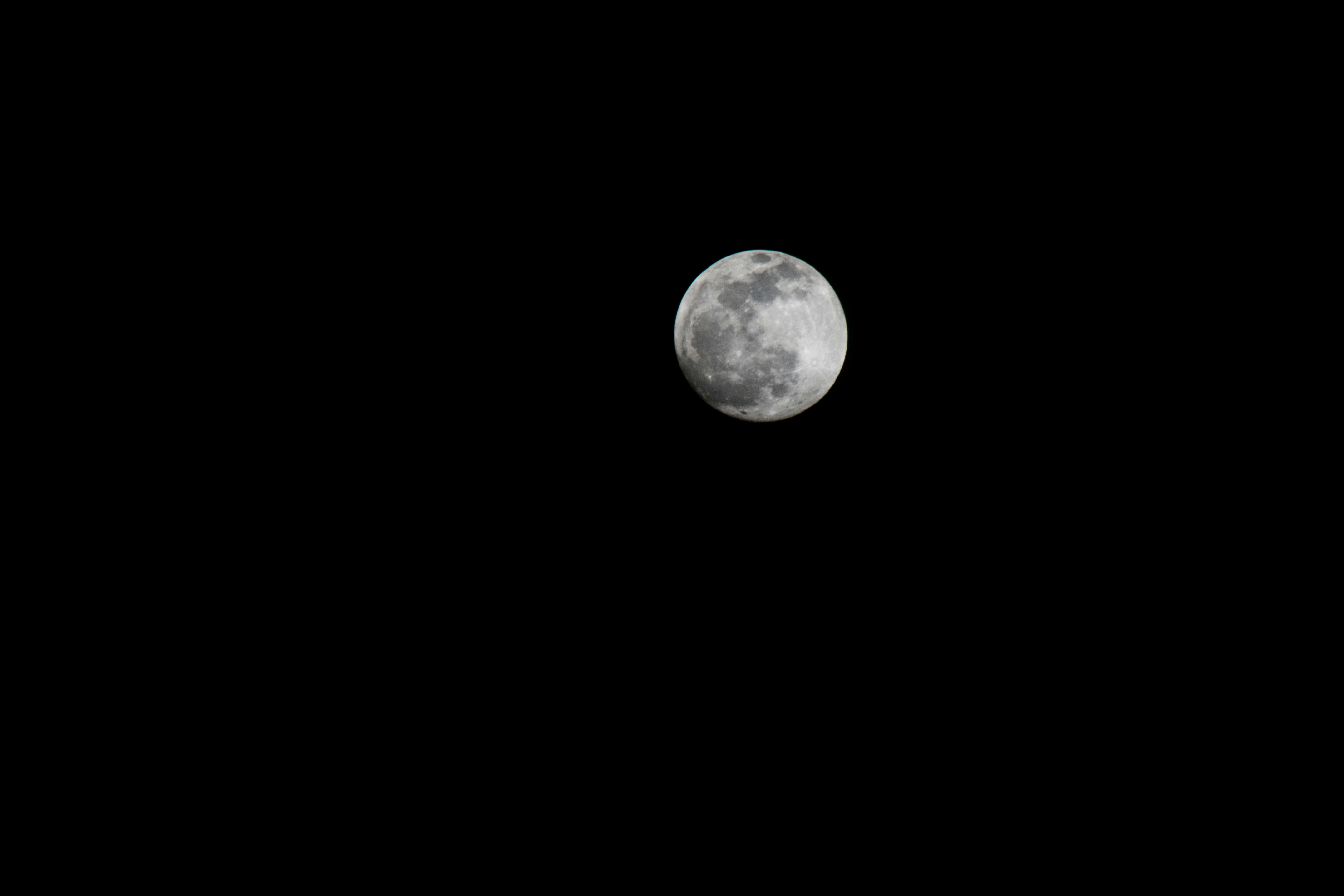 Mặt Trăng Và Bầu Trời đầy Sao Trong Rừng đêm Hình ảnh  Định dạng hình ảnh  JPG 630012543 vnlovepikcom
