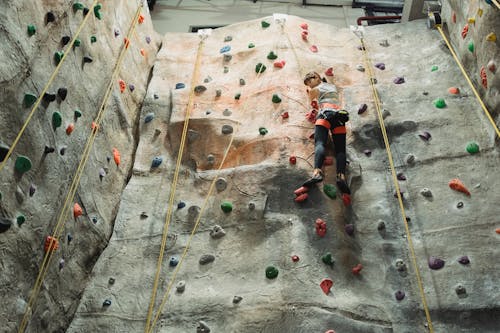 Asian alpinist ascending climbing wall during workout