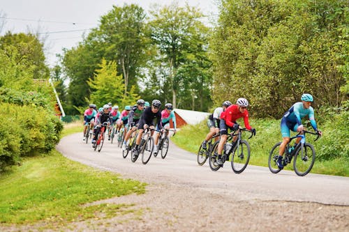 People Riding Bicycles on Country Road