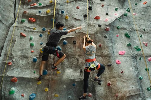 Free Back view of faceless mountaineers in sportswear with belay training climbing on wall Stock Photo