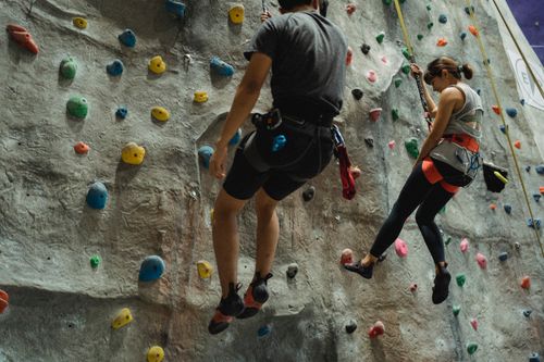 Free Faceless mountaineers in sportswear hanging on belays during climbing training in modern gym Stock Photo