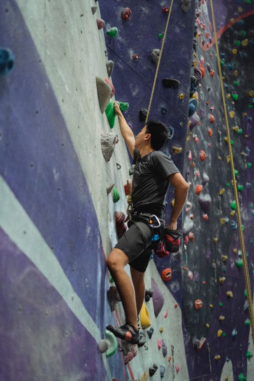 Free Side view of muscular male alpinist in sportswear practicing bouldering in climbing center Stock Photo