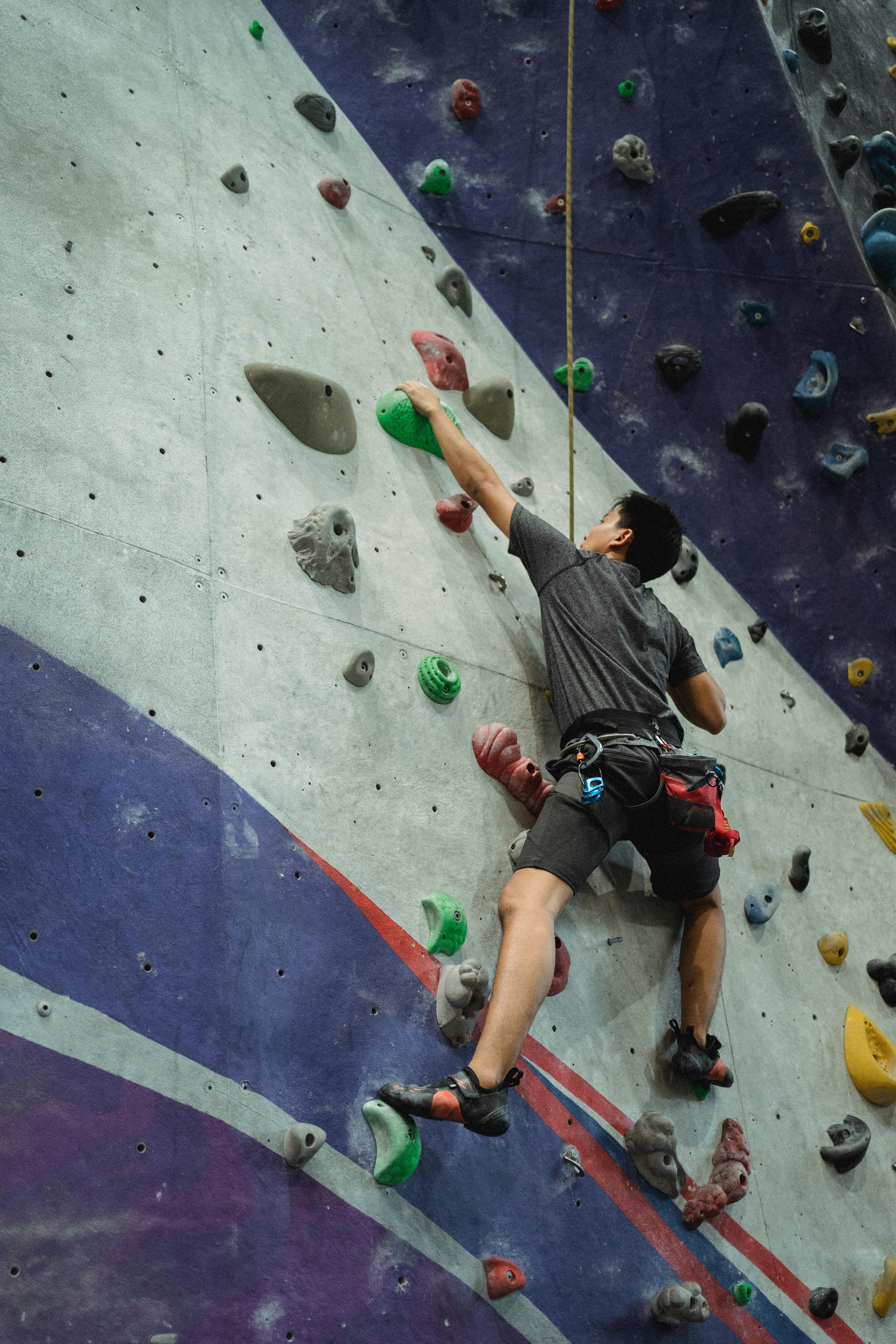 A mouse displaying its wall-climbing ability mimicking a climber on a bouldering center wall