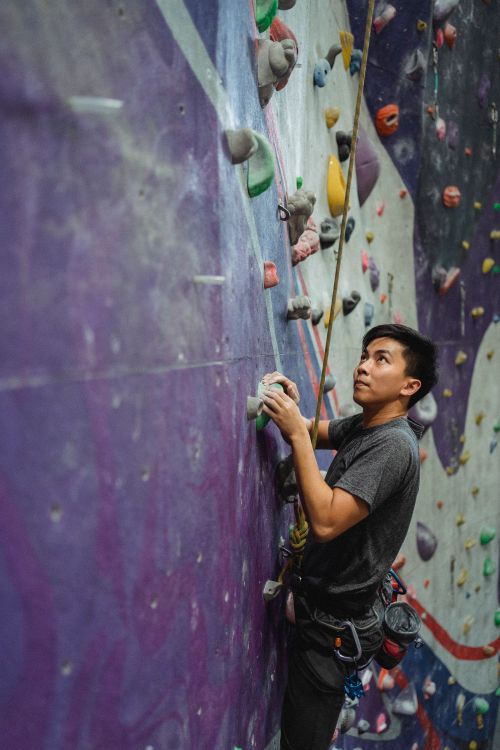 Free Side view of determined male climber in sportswear ascending on climbing wall in gym and looking up Stock Photo