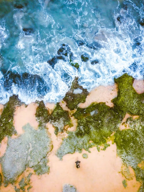 Top View of Waves Crashing on the Seashore