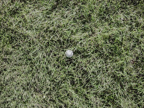 A White Golf Ball on Green Grass