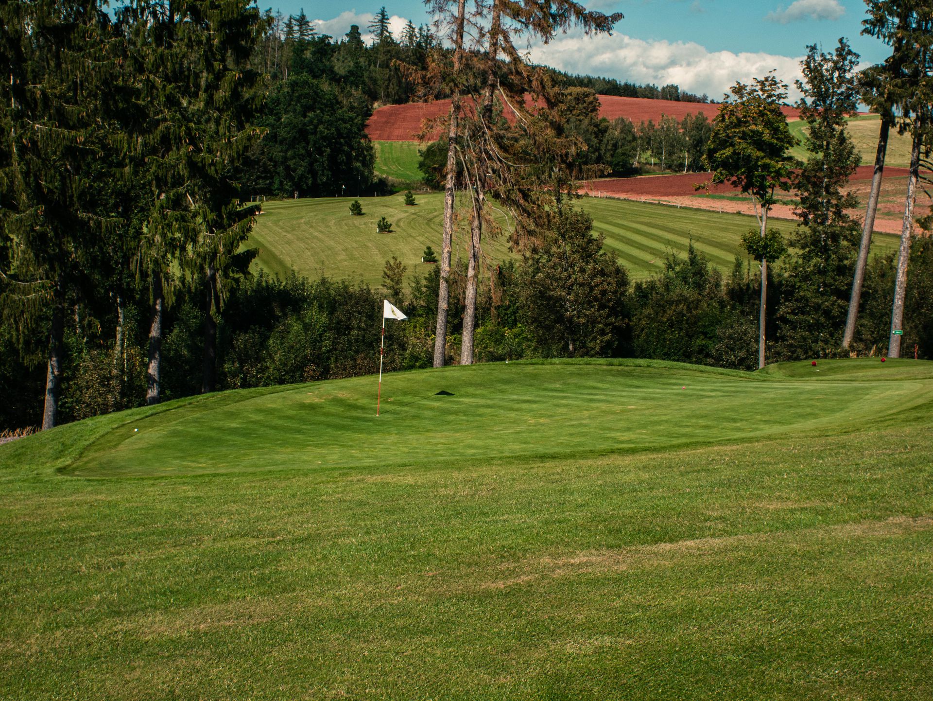 Un green de golf con bandera en una calle cuidada