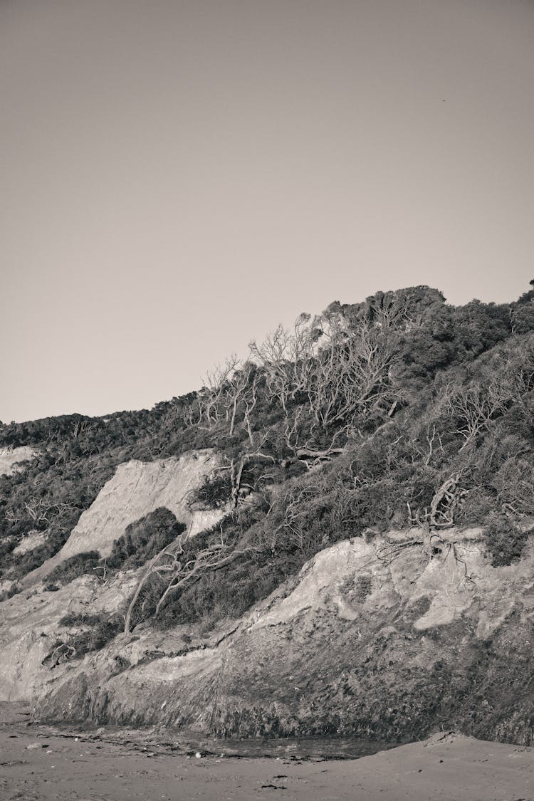 Escarpment In Black And White