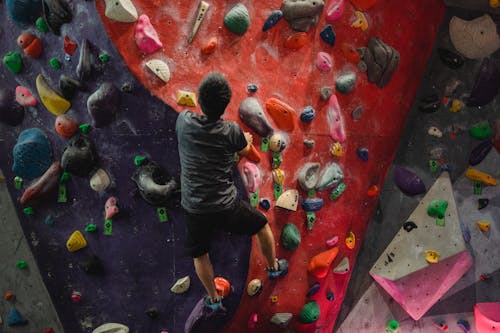 Free From above back view of anonymous male alpinist in sportswear checking climbing wall with grips Stock Photo