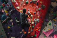 From above back view of anonymous male alpinist in sportswear checking climbing wall with grips