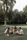 hangout