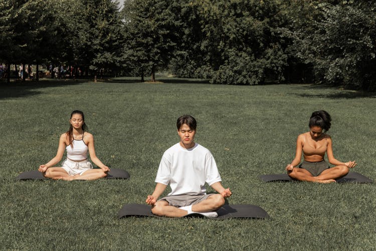 Multiethnic Group Of Friends Practicing Yoga In Park