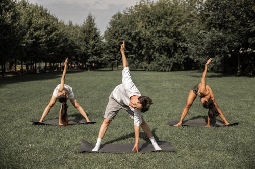 Free Group of diverse friends doing Revolved Wide Legged Forward Bend while exercising yoga on lawn Stock Photo