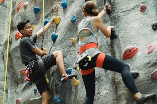 Low angle of calm climbers in sportswear with special equipment and ropes training on climbing wall in gym
