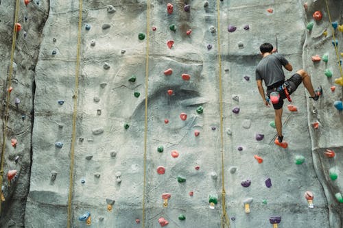 Back view of anonymous climber with special equipment in sportswear climbing on climbing wall during training in gym