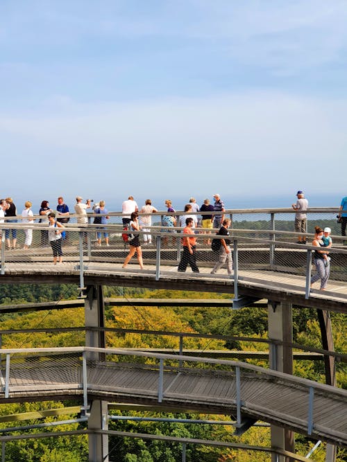 From above of unrecognizable group of travelers contemplating forest and blue cloudy sky from spiral observation tower
