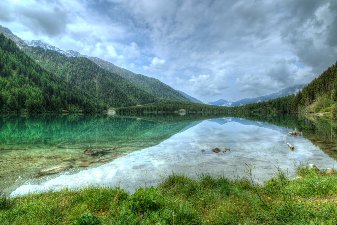 Lac Près De La Montagne Couverte D'arbres