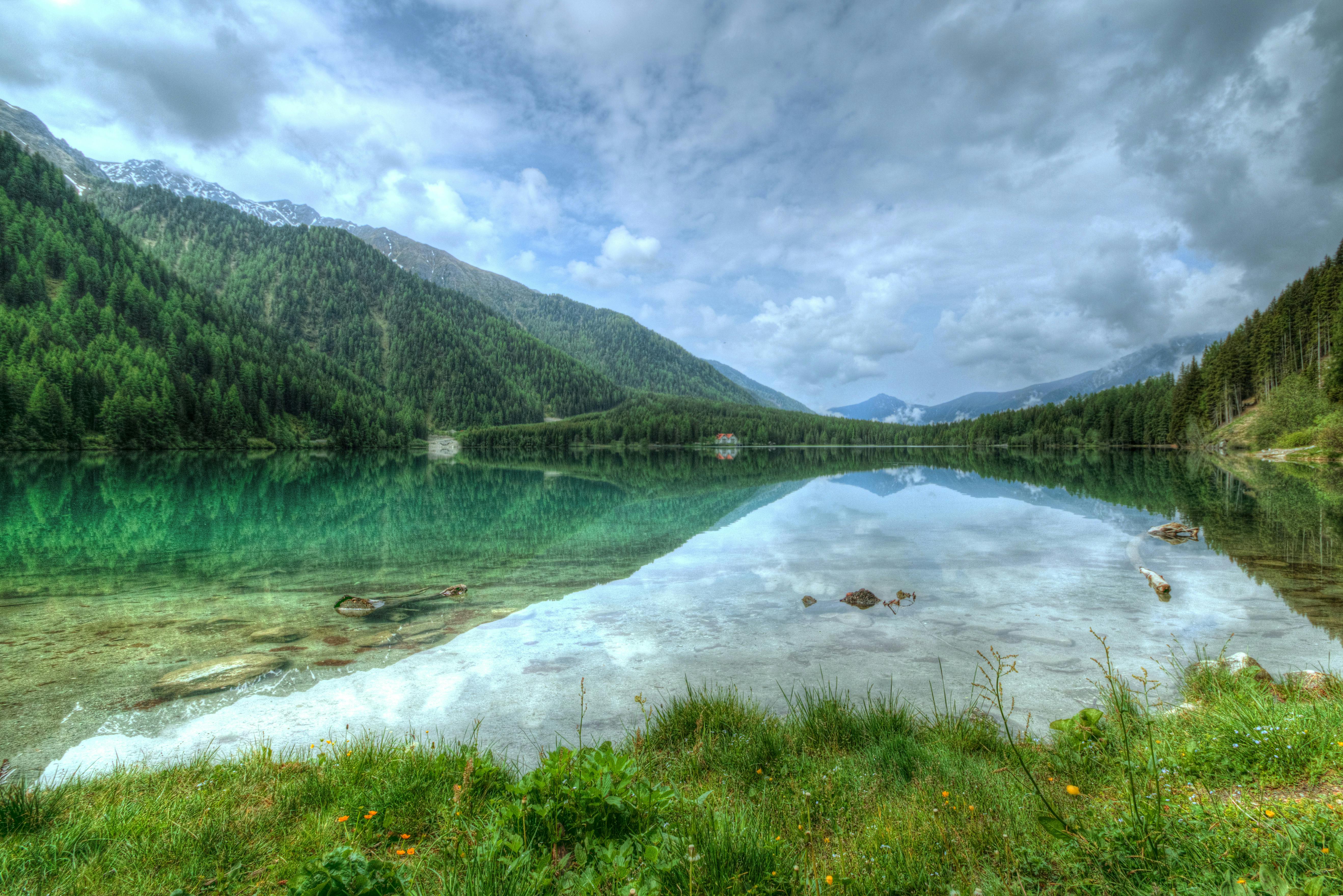 Cenário de floresta com lago e montanhas