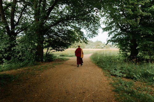 Back View of Person Walking on Pathway Between Green Trees 