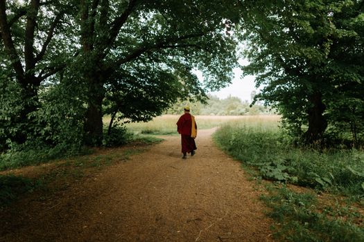 A serene forest path with a solitary monk walking under lush green trees, evoking peace and contemplation.