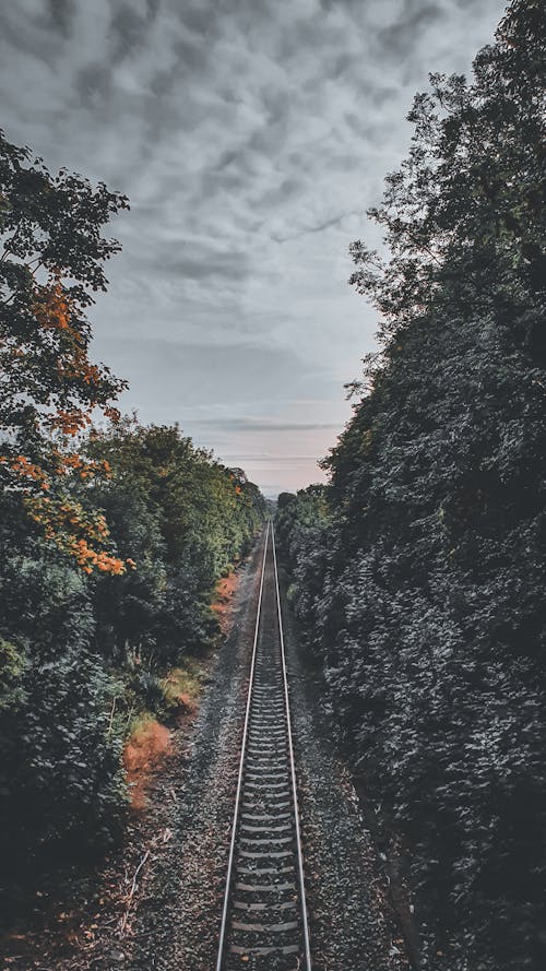 From above of straight railroad tracks running between lush green trees and bushes against cloudy sky