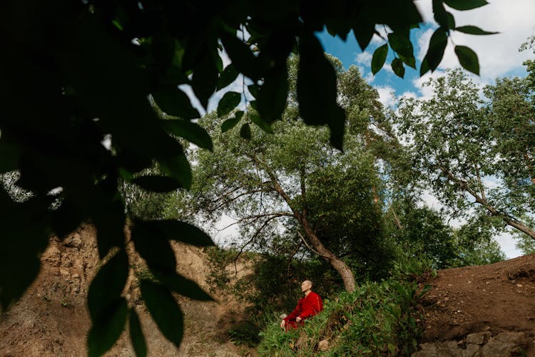 A Monk Meditating And Sitting Under A Tree 