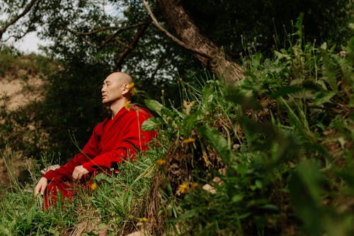Buddhist Monk Sitting under a Tree and Meditating 