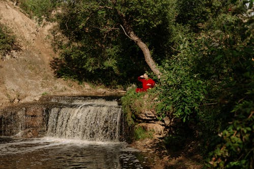 Red Flowers Near River