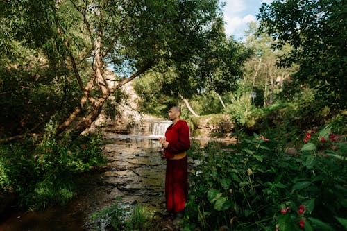 Kostenloses Stock Foto zu asien, bäume, buddha