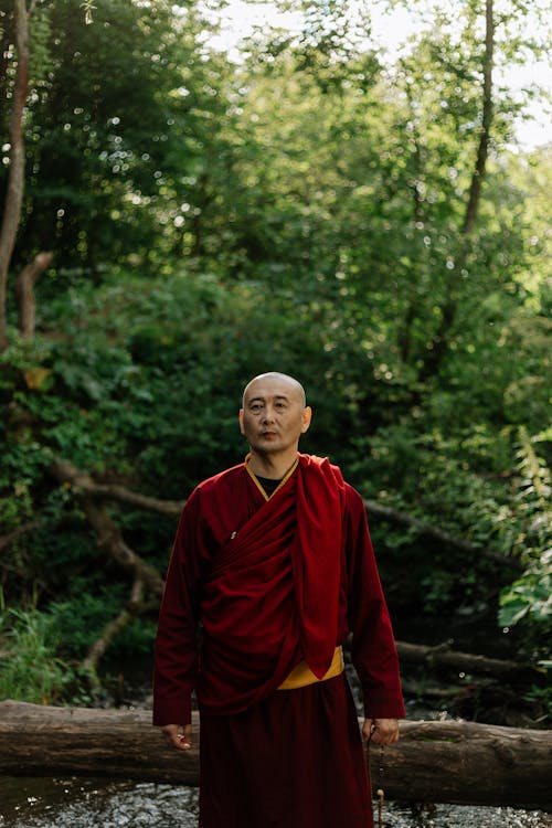 Monk in a Forest 