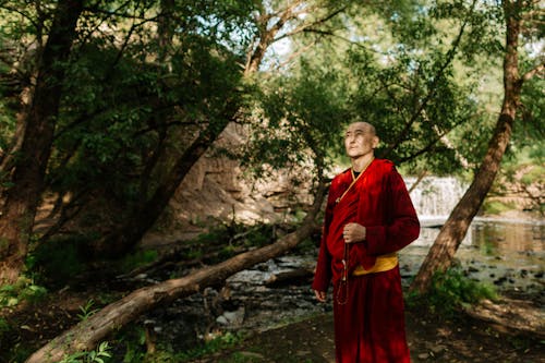 Ilmainen kuvapankkikuva tunnisteilla aasialainen mies, buddhalainen, buddhalaisuus