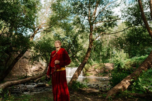 Immagine gratuita di acqua, alberi, Buddismo
