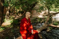 A Monk Sitting on a Tree Trunk