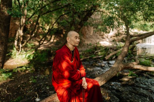 Man in Red Robe Sitting on Brown Tree Log