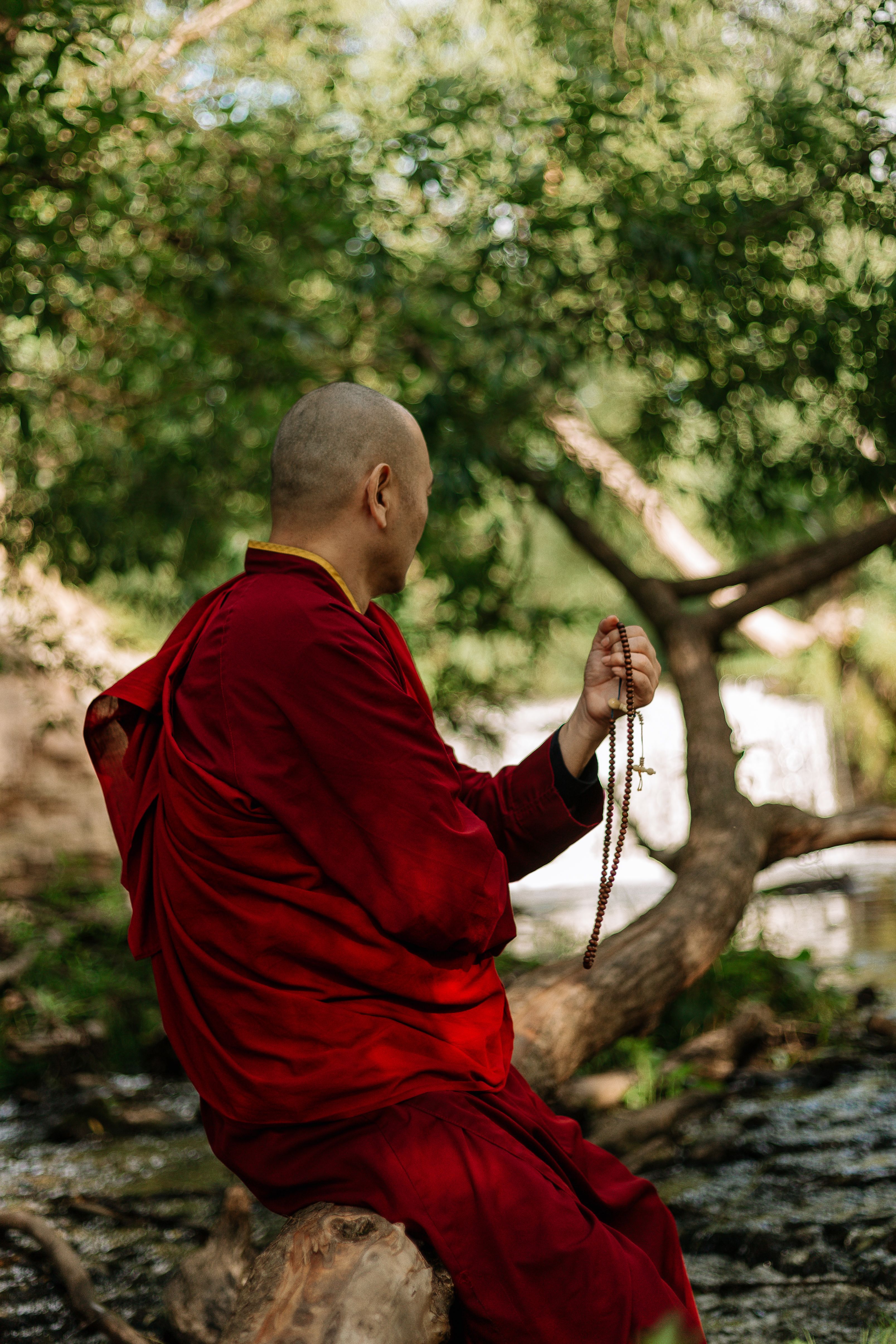 Karma Photos, Download The BEST Free Karma Stock Photos &