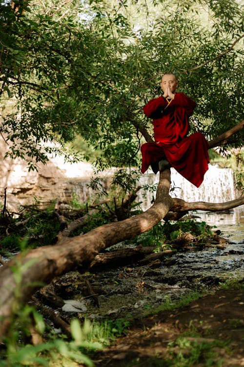 Bald Monk Praying on Tree