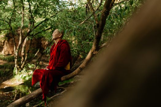 Man in Red Robe Sitting on Tree Branch