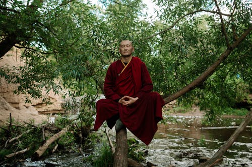 Man in Red Long Sleeve Dress Concentrating while Sitting on Tree Branch