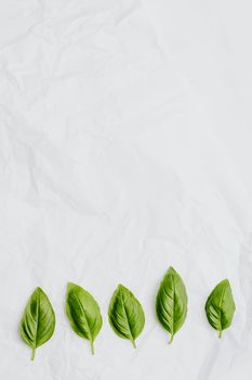 在弄皱的白纸背景上，新鲜罗勒叶以最简方式摆放，突出其绿色叶片