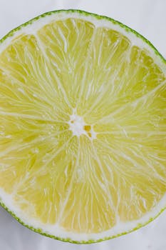 Detailed macro shot of a fresh lime slice highlighting texture and vivid color.