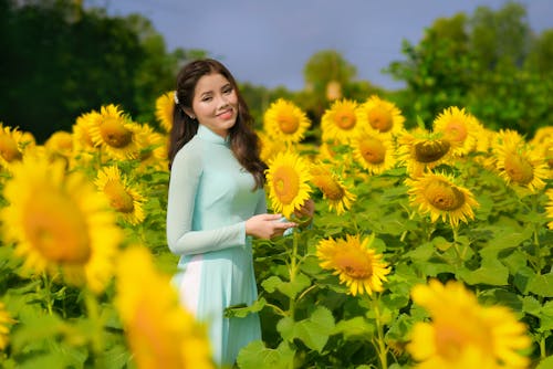 Free Woman in Light Green Dress Standing on Sunflower Field Stock Photo