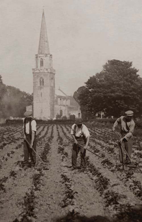 Grayscale Photo of Three Men Plowing Field