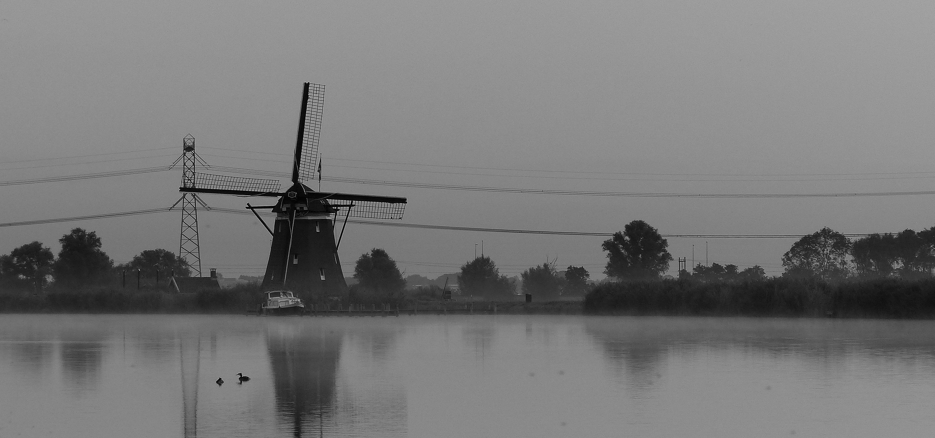 Cycle the polders to Kamerik and Zegveld