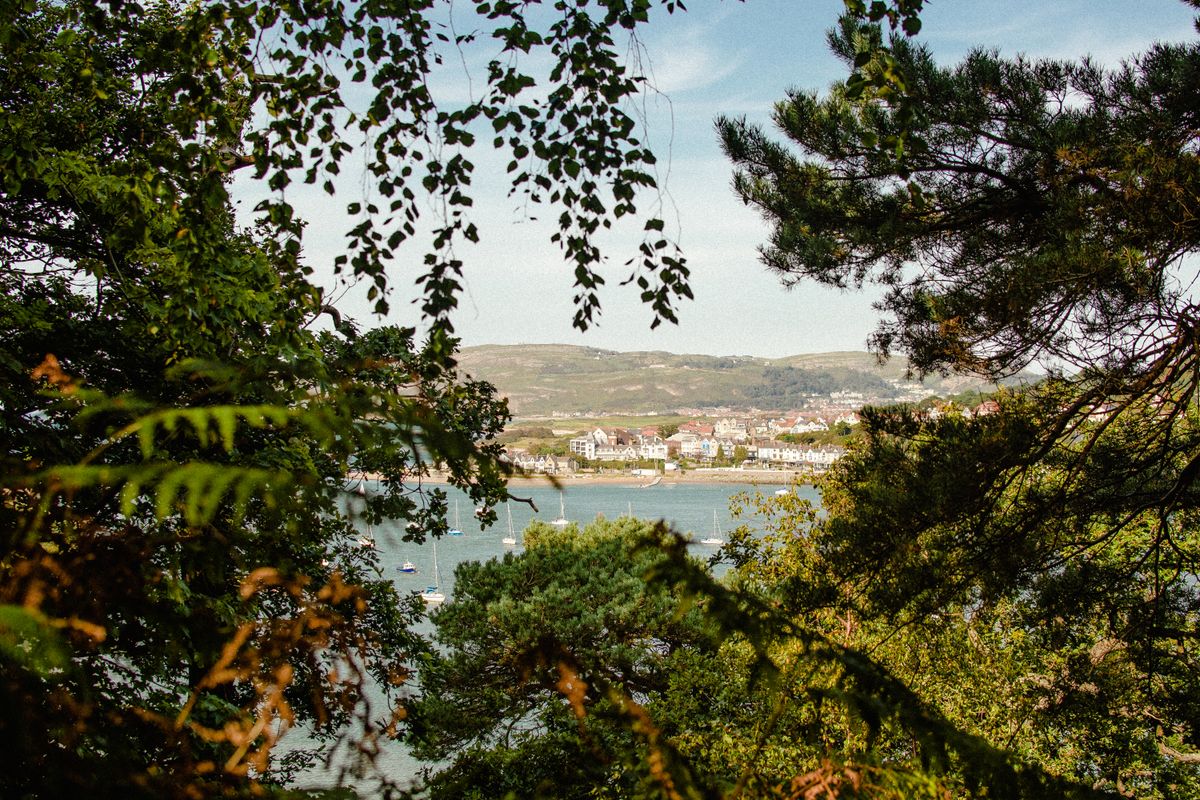 Corăbii pe mare, văzute printre copaci