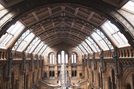 Explore the grand architecture of London's Natural History Museum, featuring stunning arches and columns.