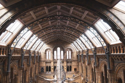 Free Explore the grand architecture of London's Natural History Museum, featuring stunning arches and columns. Stock Photo