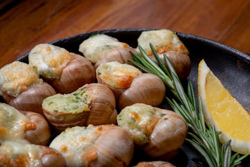 Close-Up Photo of a Delicious Cooked Escargots